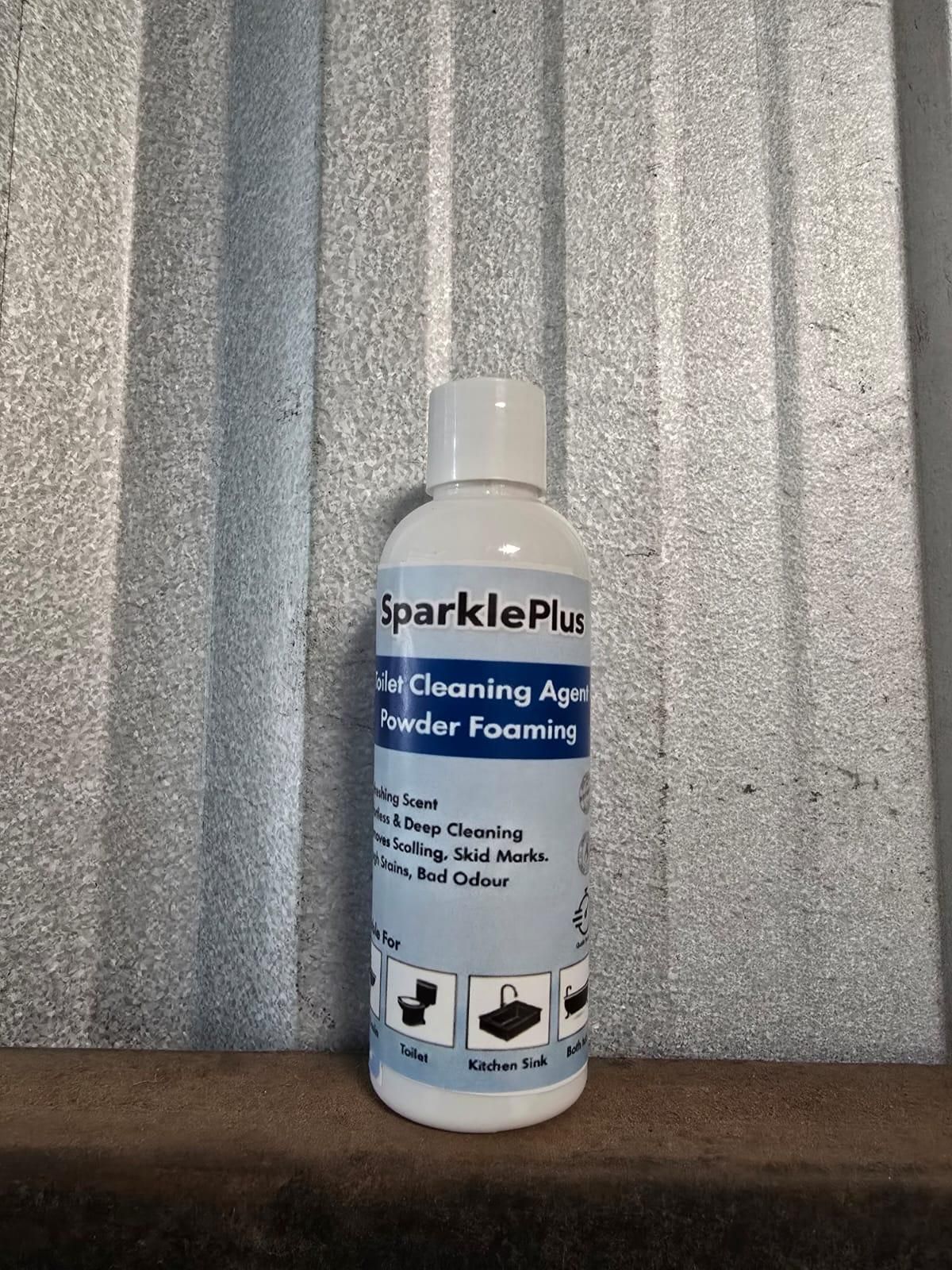 Toilet Cleaning Agent Powder Foaming 500 gm (Pack of 1)